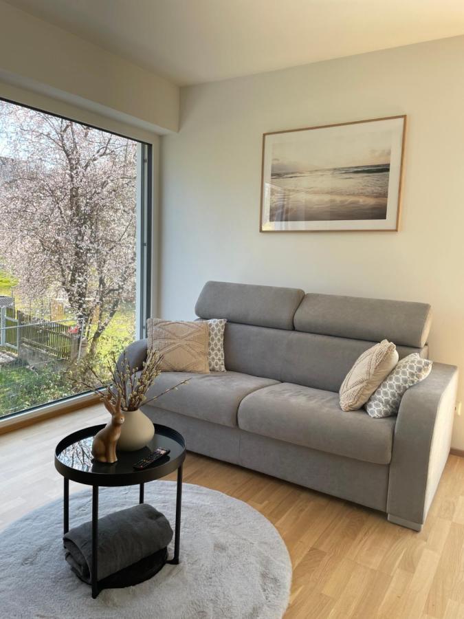 Luxury - Apartment Mit Balkon In Seenaehe Gmunden Luaran gambar